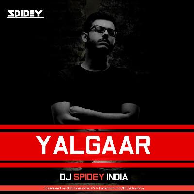 Yalgaar (Remix) Carryminati - Dj Spidey India 